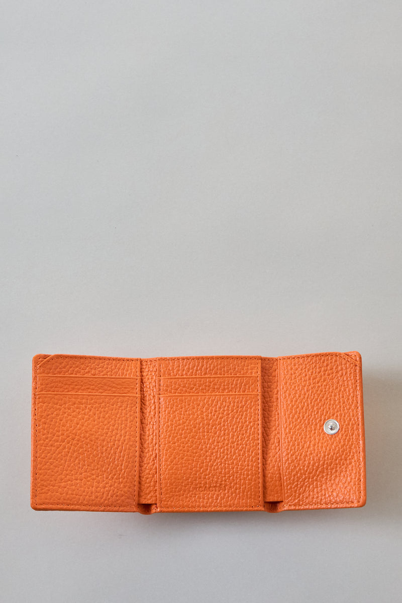 COLLAPSE GAMA `BLACK`